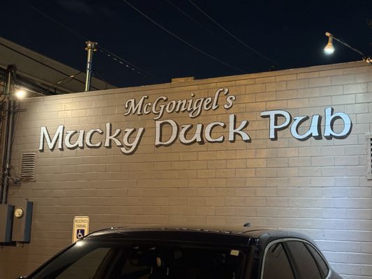 McGonigel's Mucky Duck by null