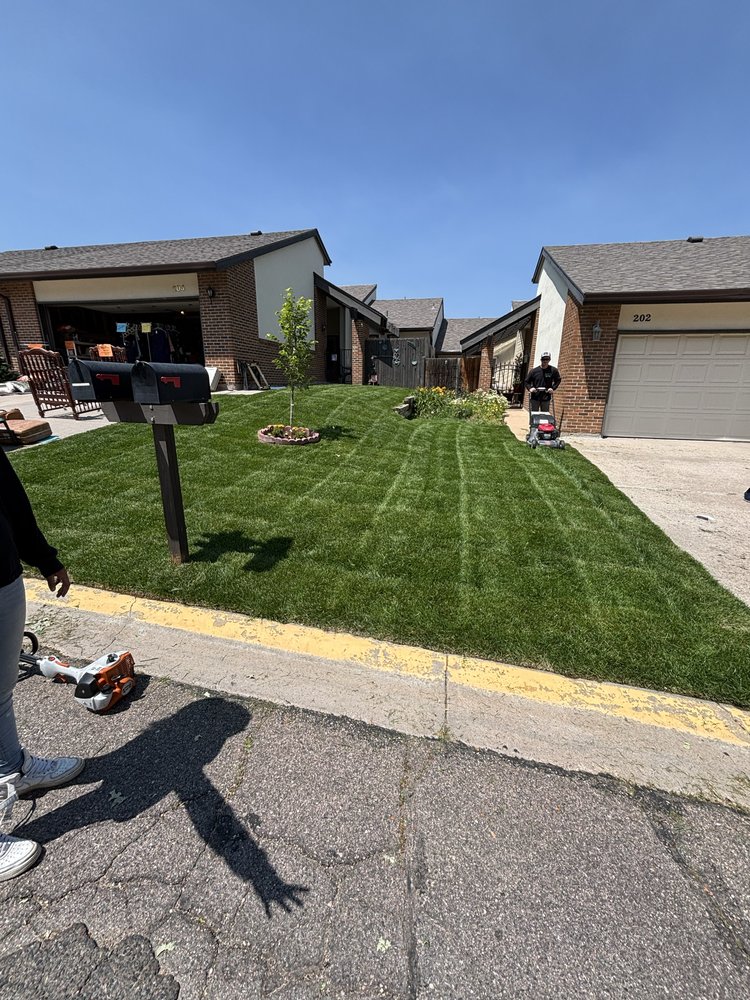 Ace's Lawn & Landscape Service - tree service in Cheyenne, WY