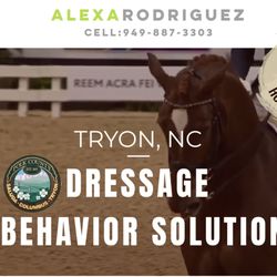 School of Horse Psychology