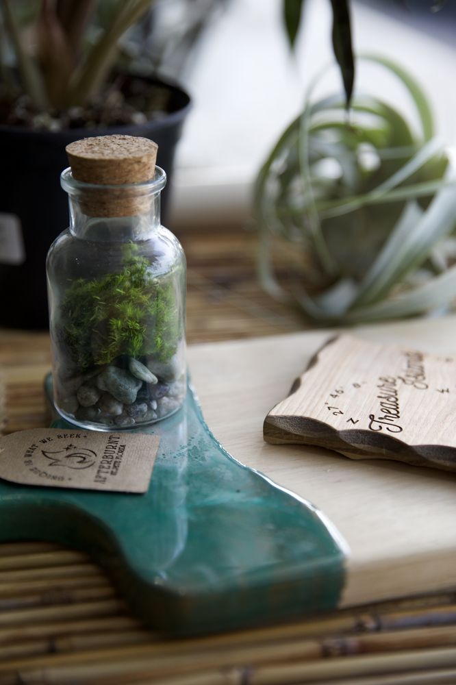 KNOTTED ROOTS Updated July 2024 Request Information 19 Photos