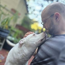 The Pet's Tale