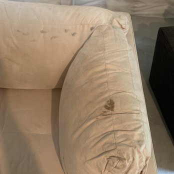 United American Moving - Wet couch - Movers Near Me