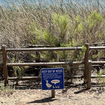 Chollas Lake Park - Parks Near Me - San Diego, California Chollas Lake Park - Parks Near Me - San Diego, California