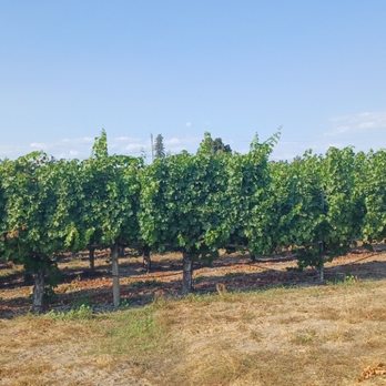 Hook and Ladder - Wineries Near Me - Santa Rosa, California
