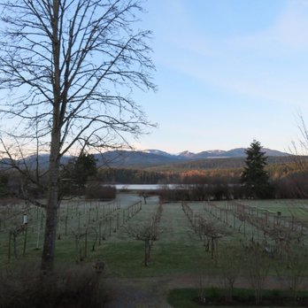 Kiwi Cove Lodge - The view from my balcony - Hotels Near Me - Ladysmith, British Columbia