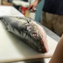 Miss Mary Seafood - Cobia
