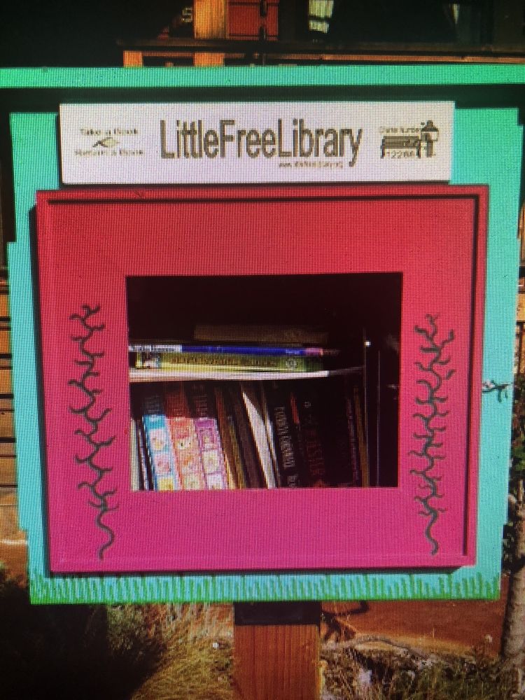 LITTLE FREE LIBRARY 511 Ramona Ave, Albany, California Community