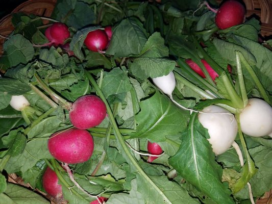 La Familia Growers Market by null