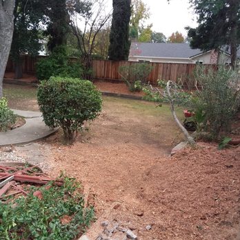 Juan's Landscaping & Tree Service - after - Landscaping Near Me - Pittsburg, California Juan's Landscaping & Tree Service - after - Landscaping Near Me - Pittsburg, California