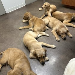 Fisher Animal Hospital - The last time I will take my babies to them !