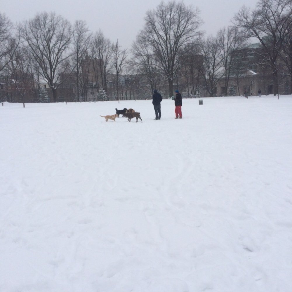 Mount Prospect Park - Playgrounds Near Me - Brooklyn, New York