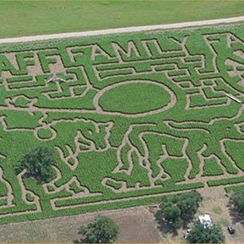 South Texas Maize - Provided by the website - Attraction Farms Near Me - Hondo, Texas South Texas Maize - Provided by the website - Attraction Farms Near Me - Hondo, Texas