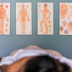 Ancient Spring Acupuncture - Acupuncture