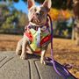 Photo of Tanisha's Loving Pet Care Services