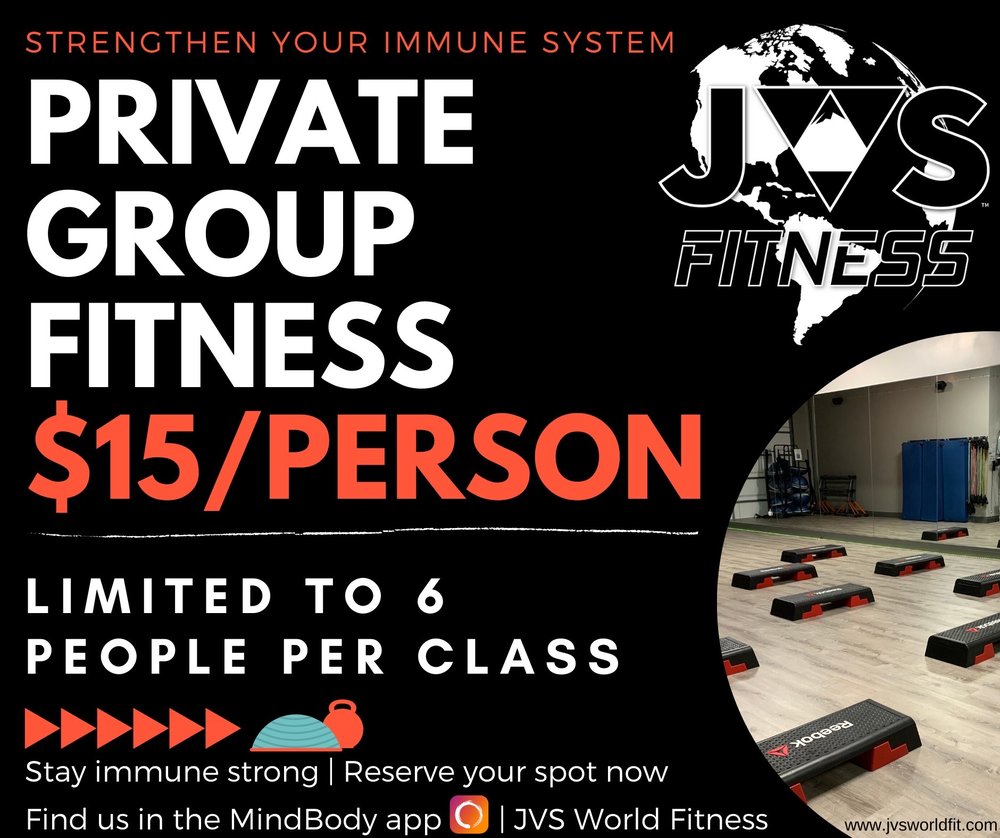 JVS WORLD FITNESS Logo