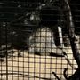 Photo of Orange County Zoo