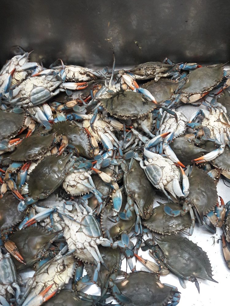 CHO SAIGON NEW MARKET 45 Photos & 33 Reviews International Grocery