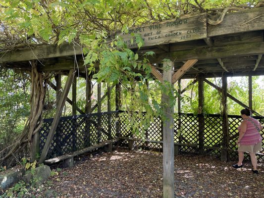 The Wilderness Center by null