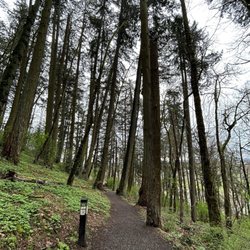 Skinner's Butte