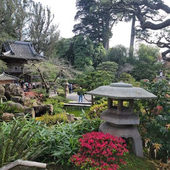 Japanese Tea Garden - Lovely architecture and garden statuary. - Tea Rooms Near Me - San Francisco, California