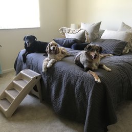 Three dogs who LOVE Greta!!!!! Three dogs who LOVE Greta!!!!!