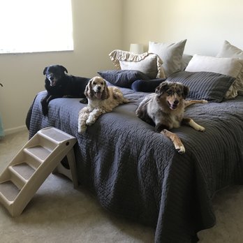 Wagtastic Pet Care - Three dogs who LOVE Greta!!!!! - Pet Sitting Near Me - Boca Raton, Florida Wagtastic Pet Care - Three dogs who LOVE Greta!!!!! - Pet Sitting Near Me - Boca Raton, Florida