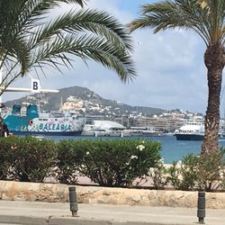 Bella Napoli - Great views of the port