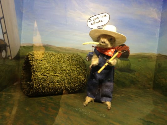 World Famous Gopher Hole Museum by null