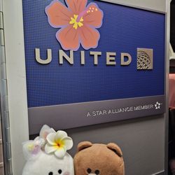 United Airlines - On board...