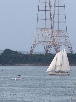 Schooner Woodwind Sailing Cruises by null