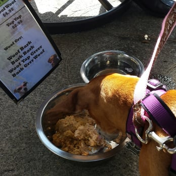 Anthony's Fish Grotto - Ruby eating her selection off of the doggie menu. It was the small portion which was still HUGE! - Seafood Near Me - La Mesa, California