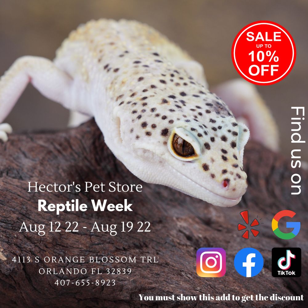 Hector's Pet Store Image