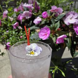 Lavender lemonade