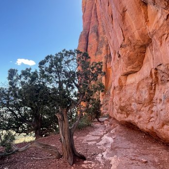 Cathedral Rock - Views from the top. No filter. - Hiking Near Me - Sedona, Arizona Cathedral Rock - Views from the top. No filter. - Hiking Near Me - Sedona, Arizona
