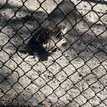 Zoo World - Zoos Near Me - Panama City Beach, Florida Zoo World - Zoos Near Me - Panama City Beach, Florida