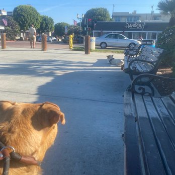 Everyday Pack Leader - More calming exercise at the sb pier - didn't even make a peep when he looked over at the dog just sniffed the air. - Pet Training Near Me Everyday Pack Leader - More calming exercise at the sb pier - didn't even make a peep when he looked over at the dog just sniffed the air. - Pet Training Near Me