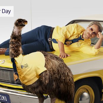 Liberty Mutual - Liberty Mutual - Auto Insurance Near Me - Raleigh, North Carolina Liberty Mutual - Liberty Mutual - Auto Insurance Near Me - Raleigh, North Carolina