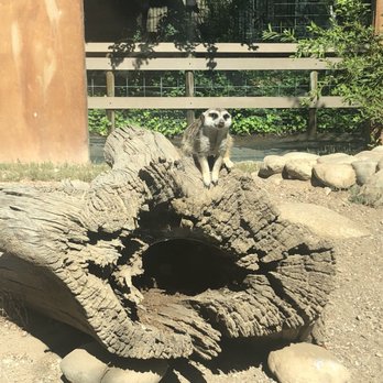 Central Coast Zoo - Zoos Near Me - Atascadero, California