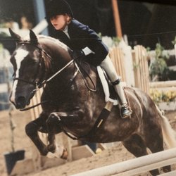 Telesis Equestrian - The cutest ponies and horses!