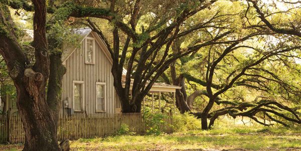 BlissWood Bed and Breakfast Ranch by null