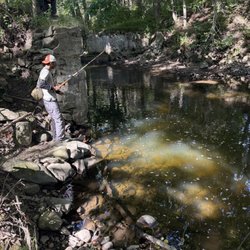 Korn's Campground - Recommended fishing spot right outside of the campgrounds. Didn't catch anything but saw plenty of little nibbling fish :)