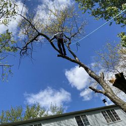 Hudson Landscaping and Tree Service