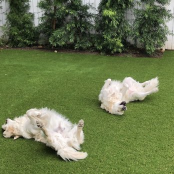 SmartGrass - Artificial Turf Near Me - Manhattan Beach, California SmartGrass - Artificial Turf Near Me - Manhattan Beach, California
