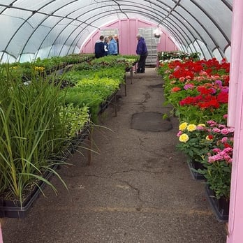 Hillers True Value Hardware - Hiller's True Value in Marshfield, WI offers live plants within their greenhouse! - Hardware Stores Near Me - Marshfield, Wisconsin Hillers True Value Hardware - Hiller's True Value in Marshfield, WI offers live plants within their greenhouse! - Hardware Stores Near Me - Marshfield, Wisconsin