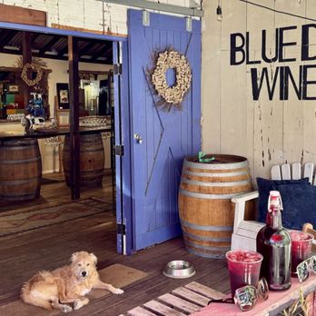 Blue Door Winery - Adorable Oliver the mascot! - Wineries Near Me - Julian, California Blue Door Winery - Adorable Oliver the mascot! - Wineries Near Me - Julian, California