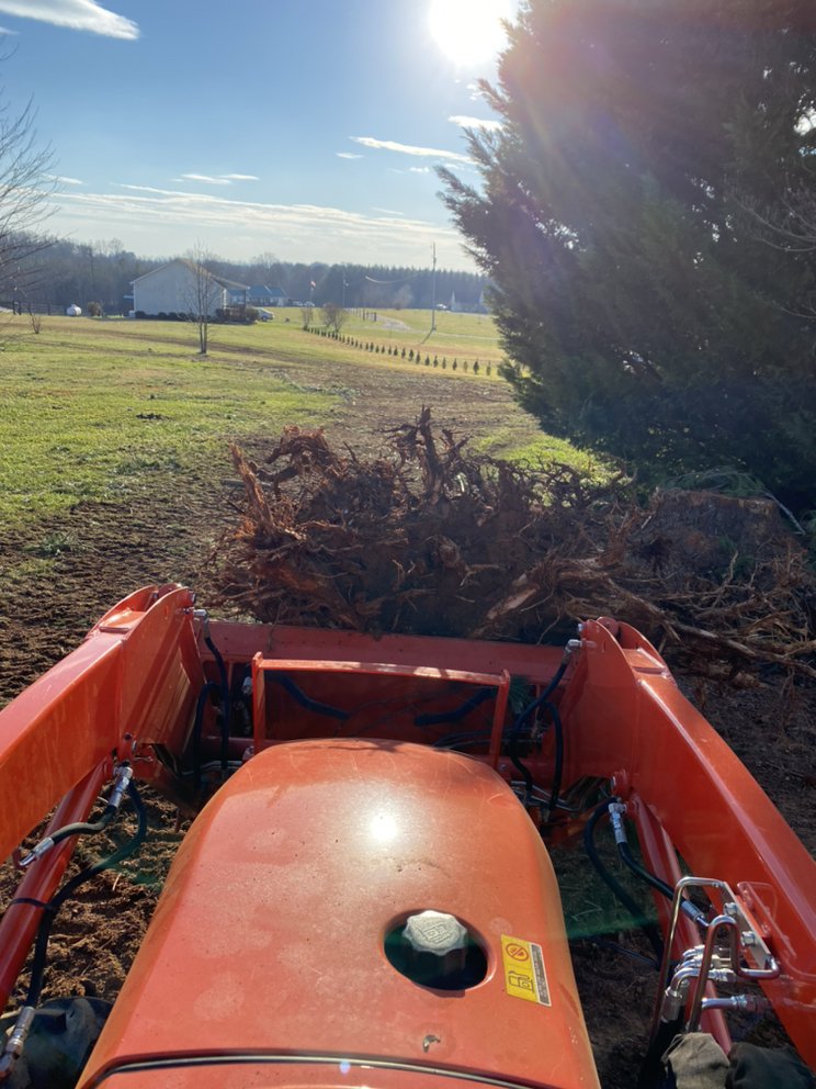 Slide of The Handy Hooker