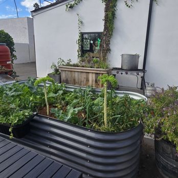 The Plot - The garden - Vegan Near Me - Oceanside, California