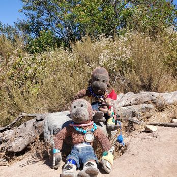 Laguna Coast Wilderness Park - 7-5-20: G and Big Boy exploring the trails - Parks Near Me - Laguna Beach, California Laguna Coast Wilderness Park - 7-5-20: G and Big Boy exploring the trails - Parks Near Me - Laguna Beach, California