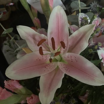 Fred's Flowers & Gifts - Florists Near Me - Hayward, California Fred's Flowers & Gifts - Florists Near Me - Hayward, California