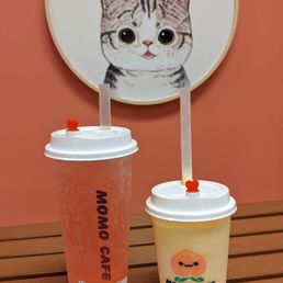 a cat and a drink on a table